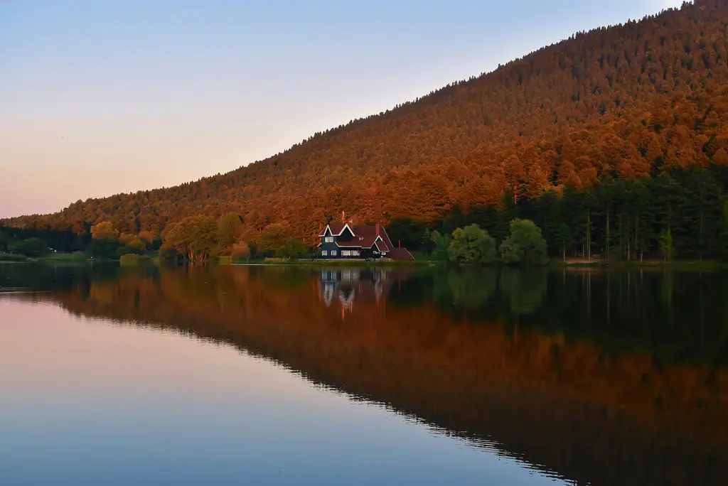photo apaisante d’un paysage naturel (bord de mer, forêt, montagne)